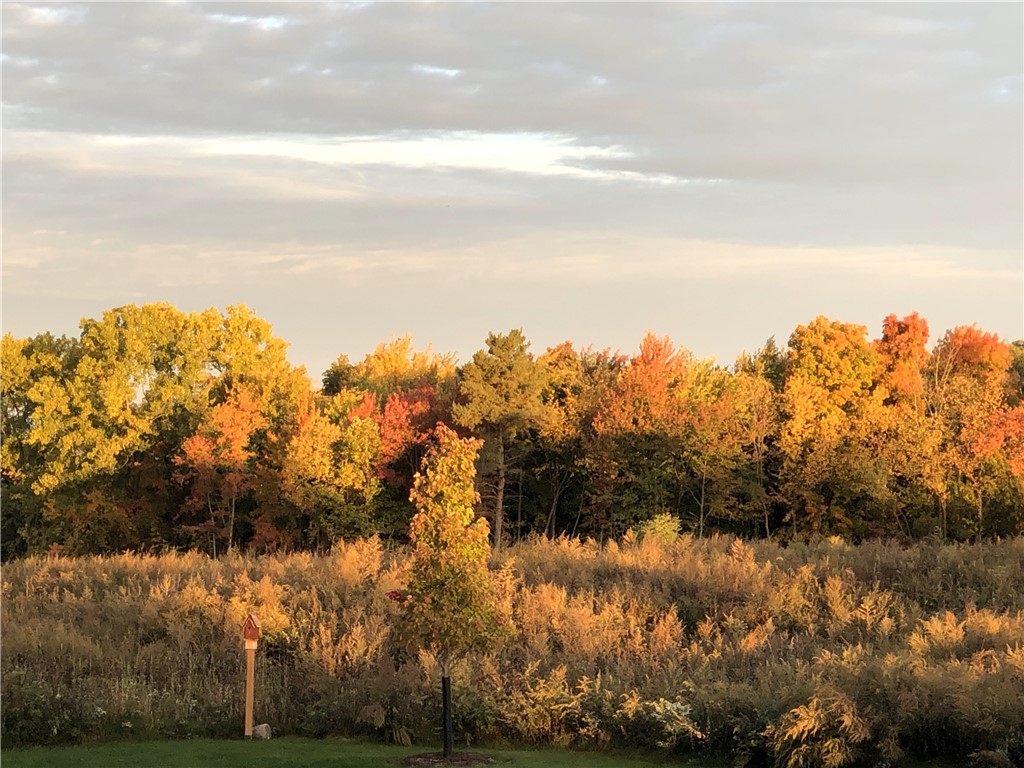 83 Coventry Ridge, Pittsford, New York image 49