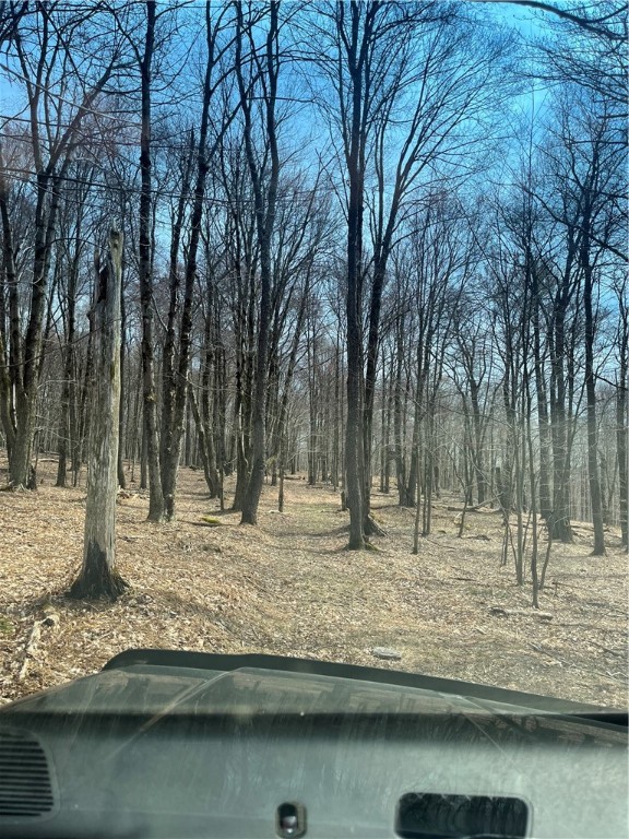 5760 County Route 21, Walton, New York image 37