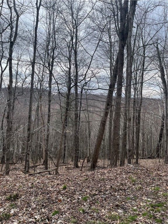 5760 County Route 21, Walton, New York image 19