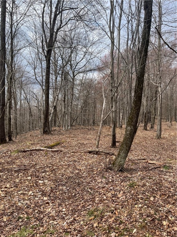 5760 County Route 21, Walton, New York image 41