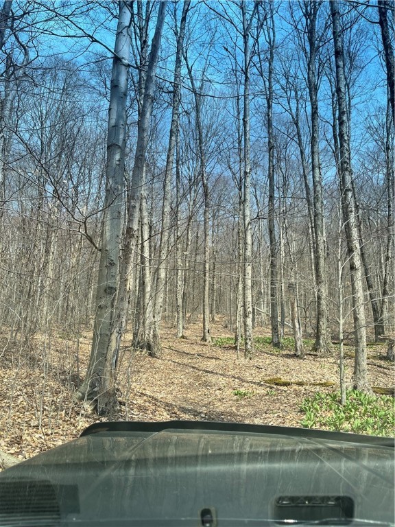 5760 County Route 21, Walton, New York image 27