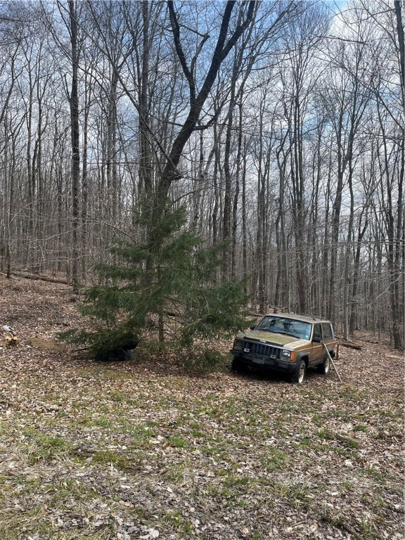 5760 County Route 21, Walton, New York image 21