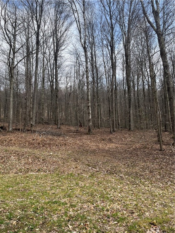 5760 County Route 21, Walton, New York image 22