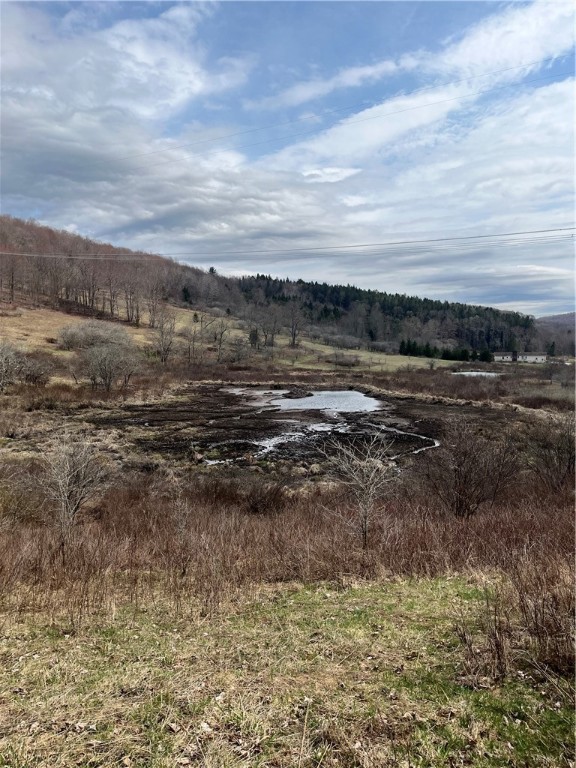 5760 County Route 21, Walton, New York image 7