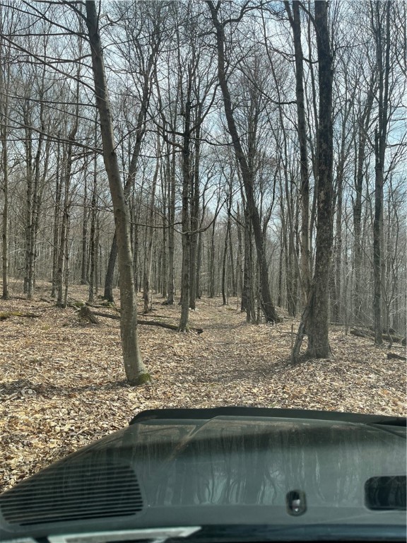5760 County Route 21, Walton, New York image 30