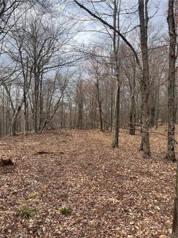 5760 County Route 21, Walton, New York image 42