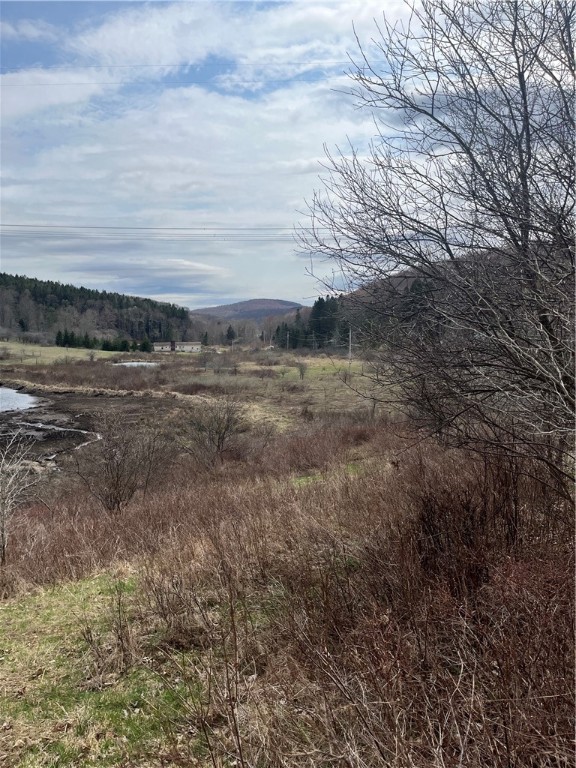 5760 County Route 21, Walton, New York image 8