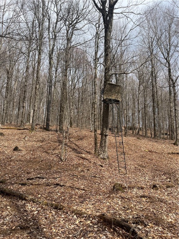 5760 County Route 21, Walton, New York image 29