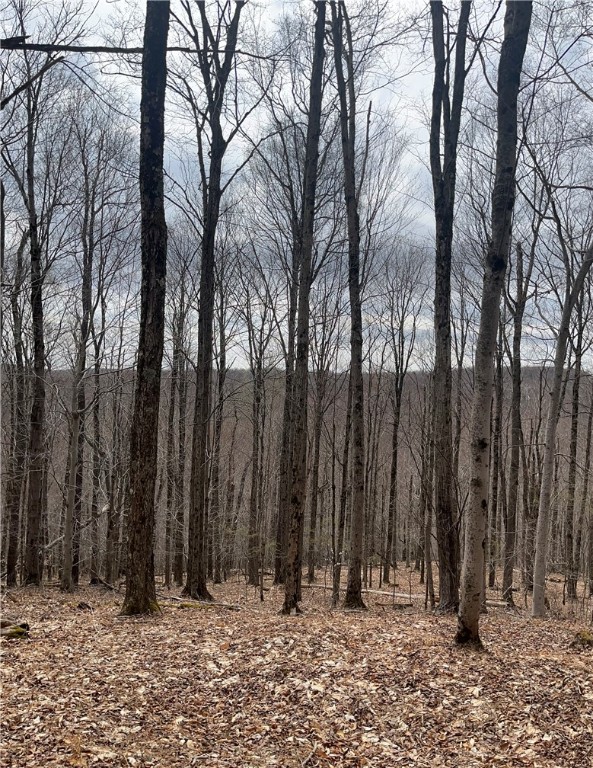 5760 County Route 21, Walton, New York image 39