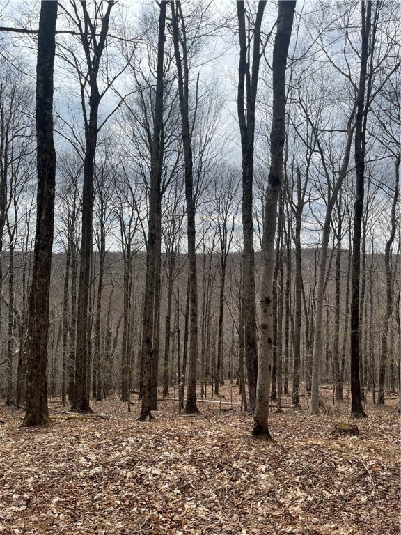 5760 County Route 21, Walton, New York image 40