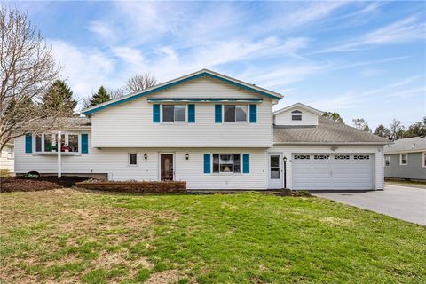 6 kingswood drive rochester ny 14624