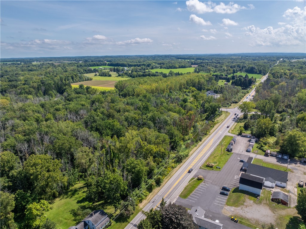 1330 Fairport Nine Mile Point Road, Penfield, New York image 9