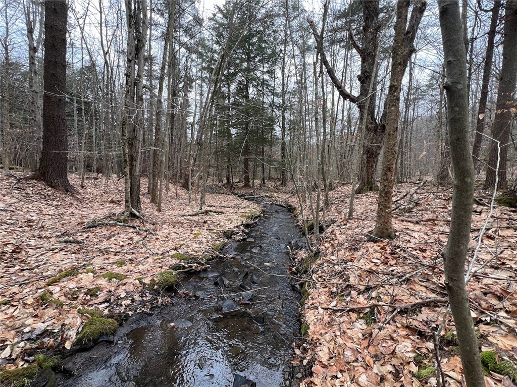 Mud Road, Laurens, New York image 7