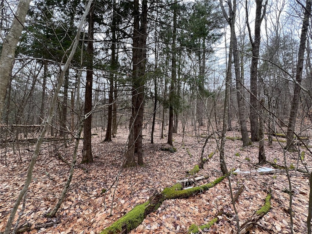 Mud Road, Laurens, New York image 8