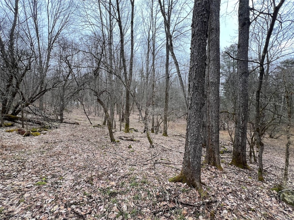 Mud Road, Laurens, New York image 3