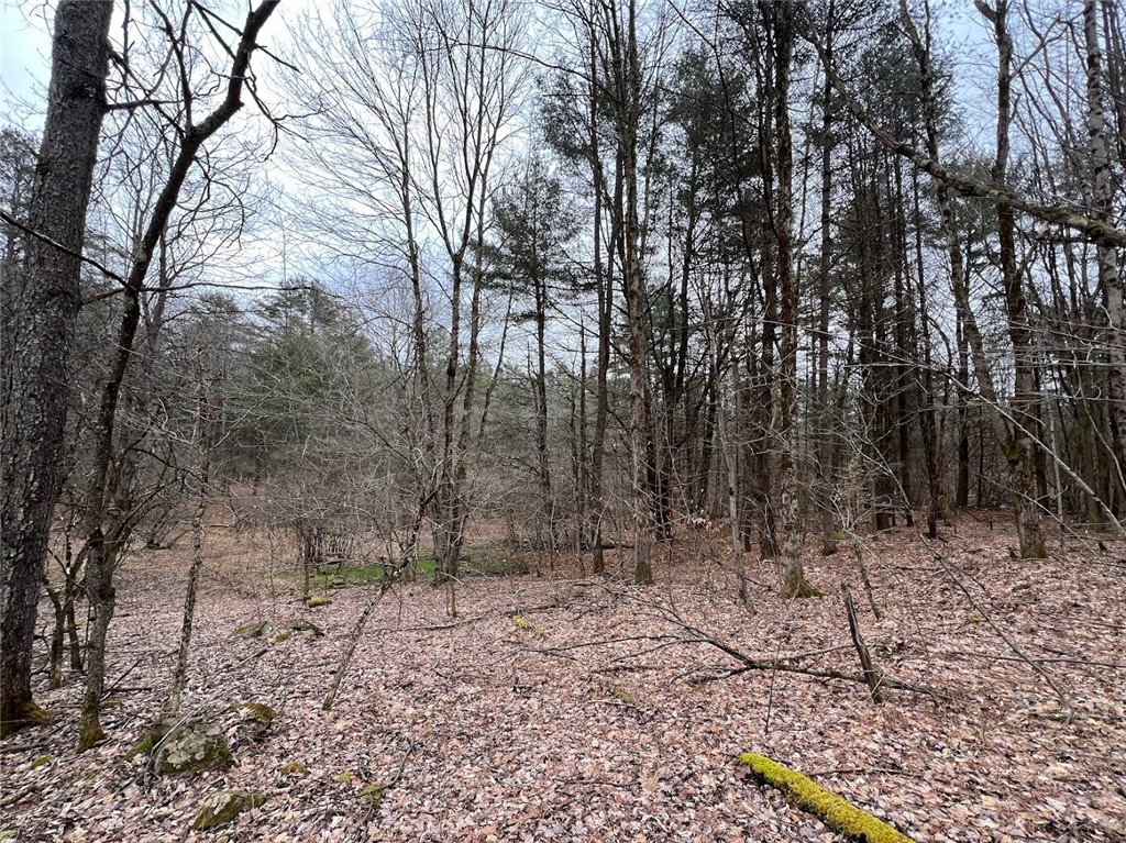 Mud Road, Laurens, New York image 2