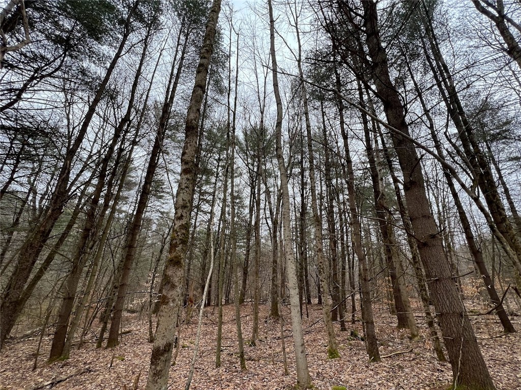 Mud Road, Laurens, New York image 4