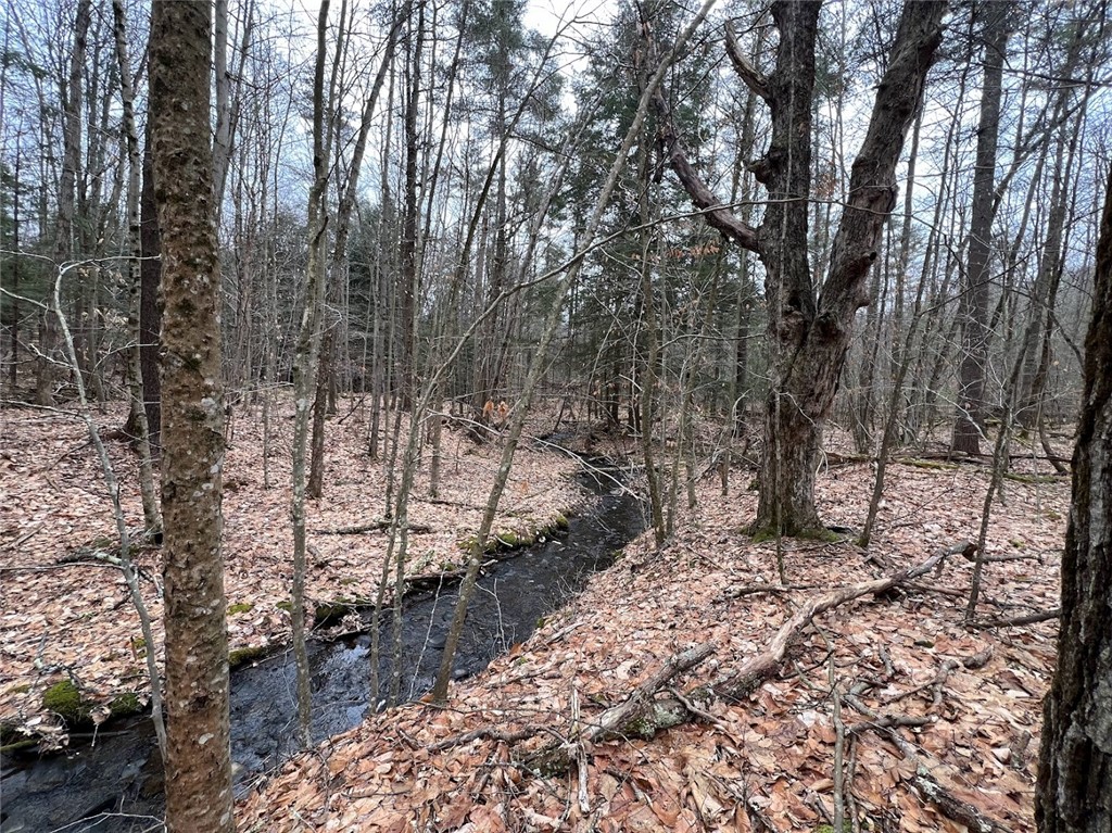 Mud Road, Laurens, New York image 5