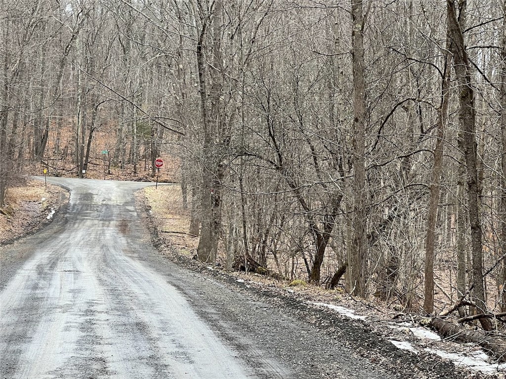 Mud Road, Laurens, New York image 9