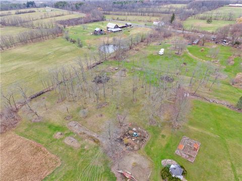 Vacant Land For Sale - County Road 4<br/> Hector, NY 14818