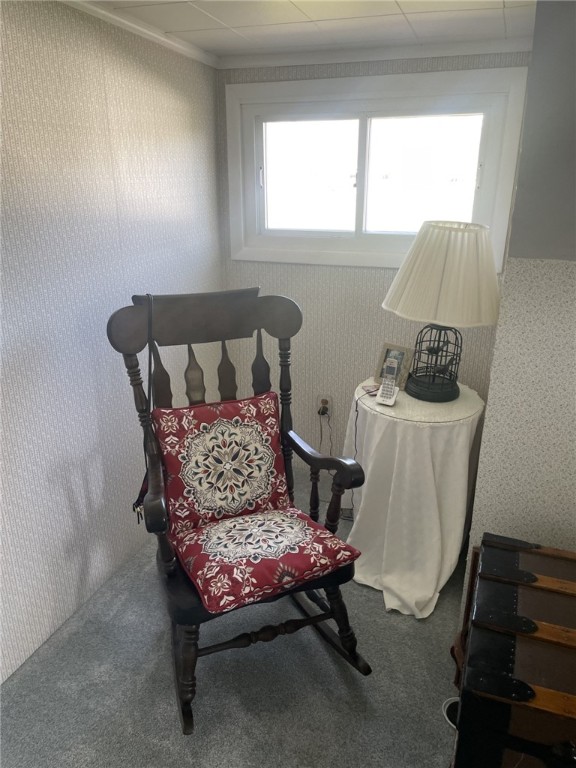 95 W Lamoka Avenue, Bath, New York image 35