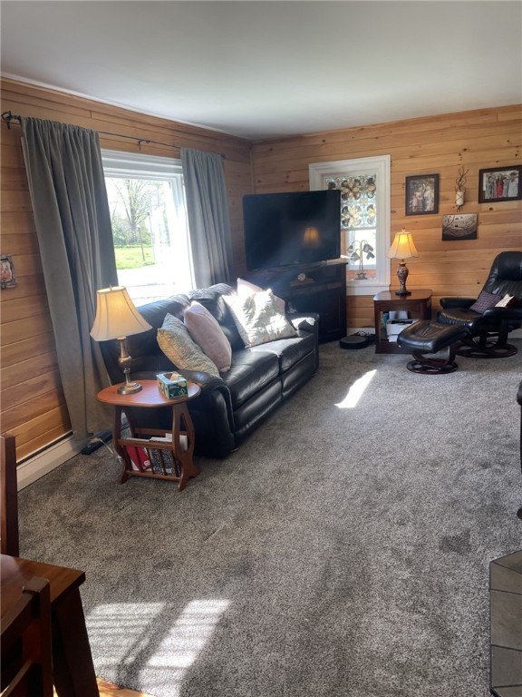 95 W Lamoka Avenue, Bath, New York image 25