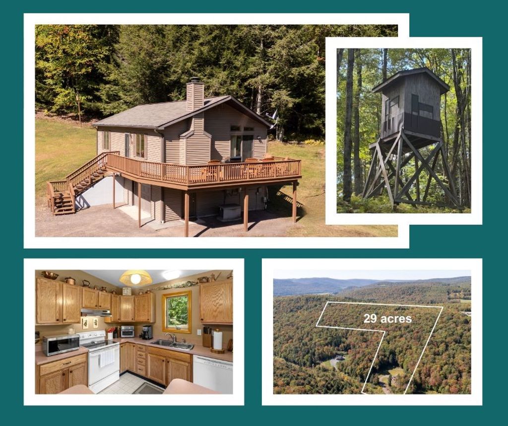 Photo of 815 Covert Hollow Road, Hamden, NY 13782 (MLS # R1669163)