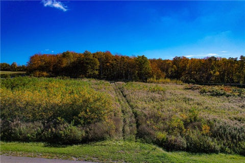 Tiny photo for Bethany, NY 14054 (MLS # R1724397)
