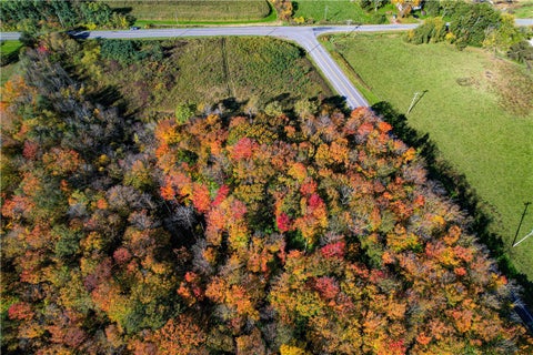 Tiny photo for Bethany, NY 14054 (MLS # R1724397)