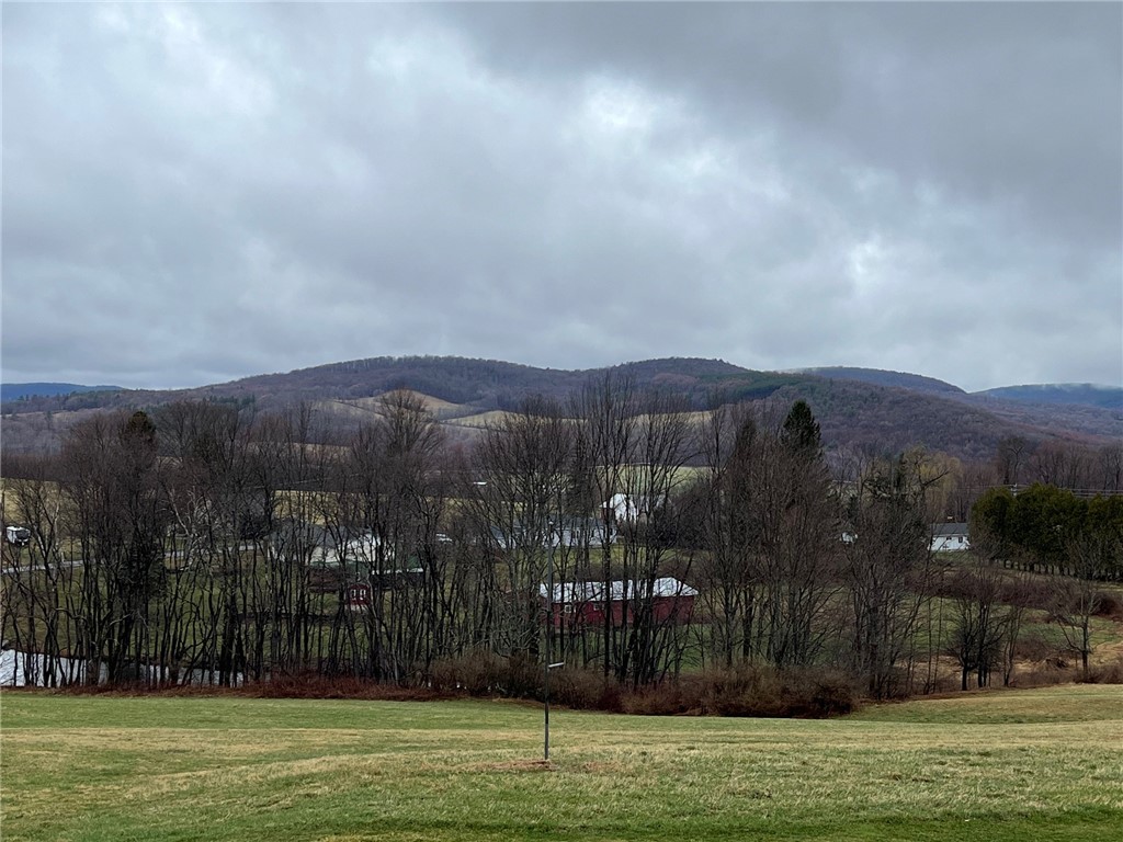 2232 Foote  Hollow Road, Stamford, New York image 13