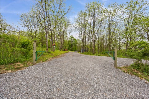 Photo for 9380 Big Tree Road