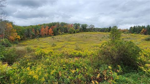 Photo of Hanyon Road, Canisteo, NY 14823 (MLS # R1658972)