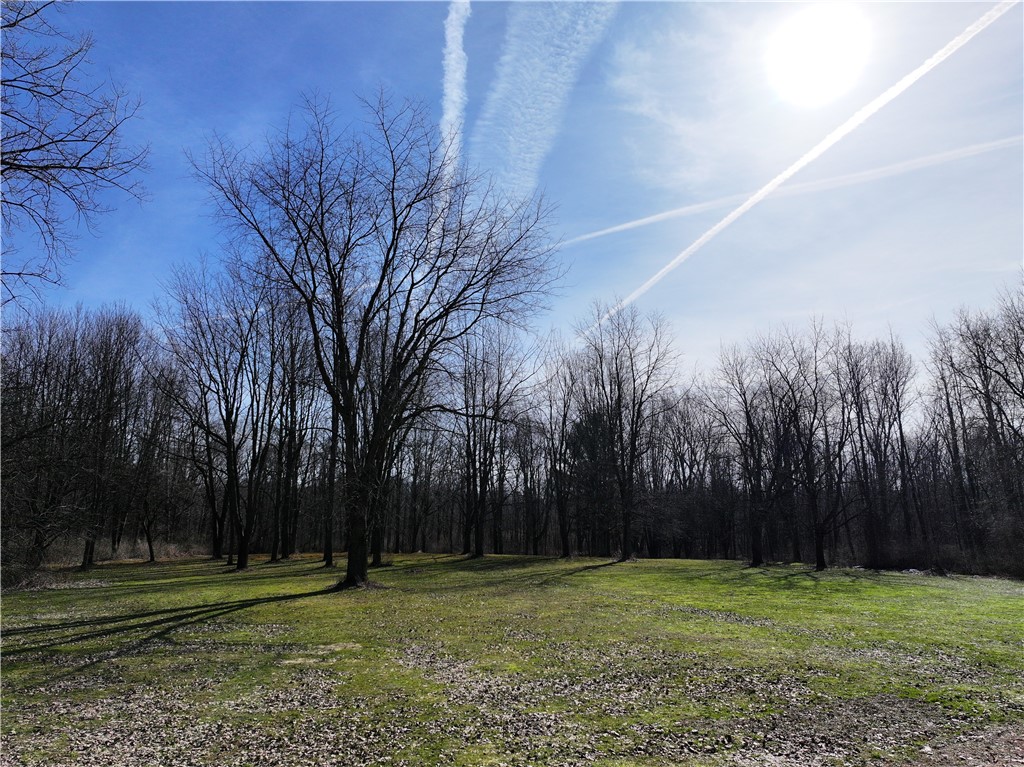 5564 Bushwood Road, Walworth, New York image 42
