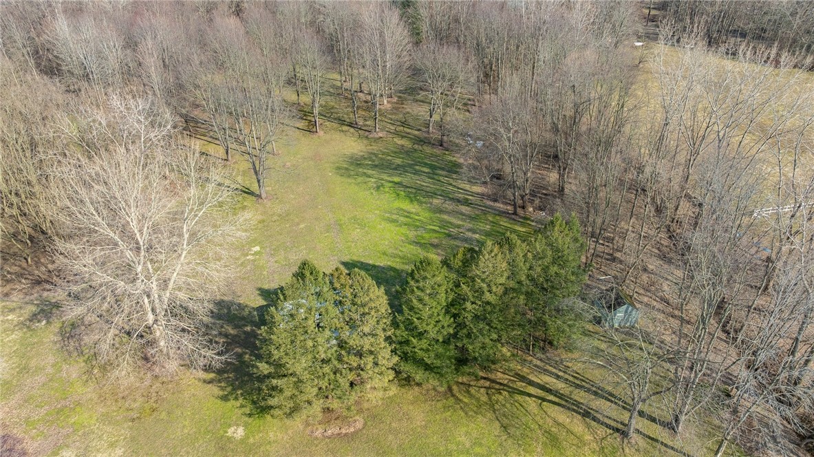 5564 Bushwood Road, Walworth, New York image 11
