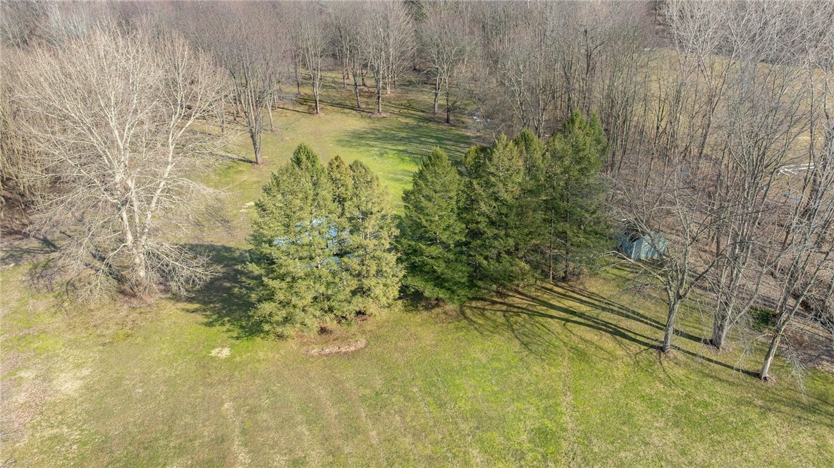 5564 Bushwood Road, Walworth, New York image 10