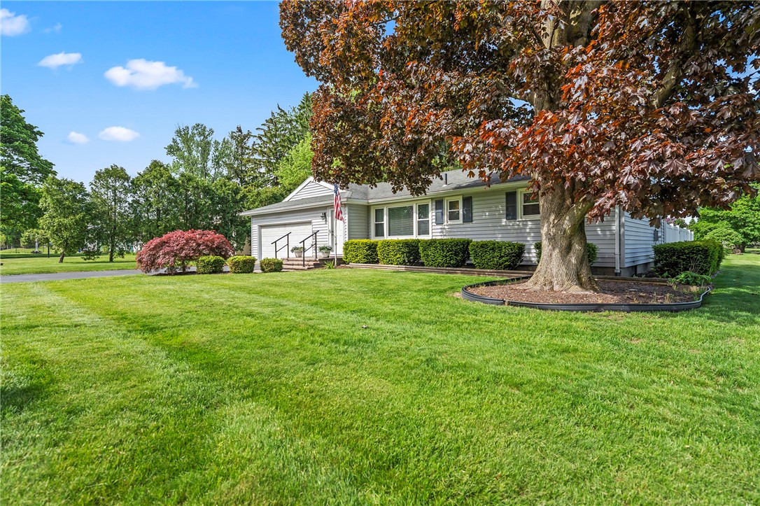 45 Everclay Drive