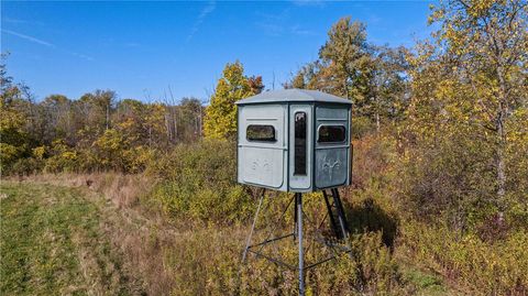 Rt-96 Farmington NY 14425