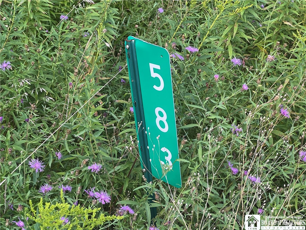 583 prosser hill road