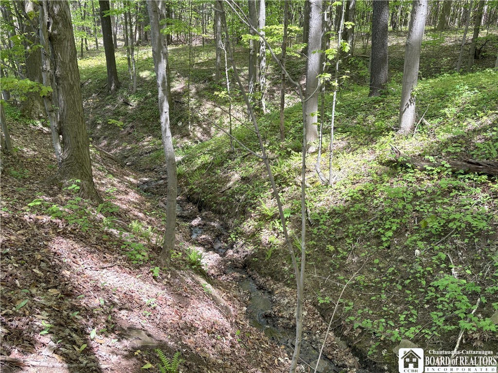 6389 Woleben Road, Portland, New York image 48