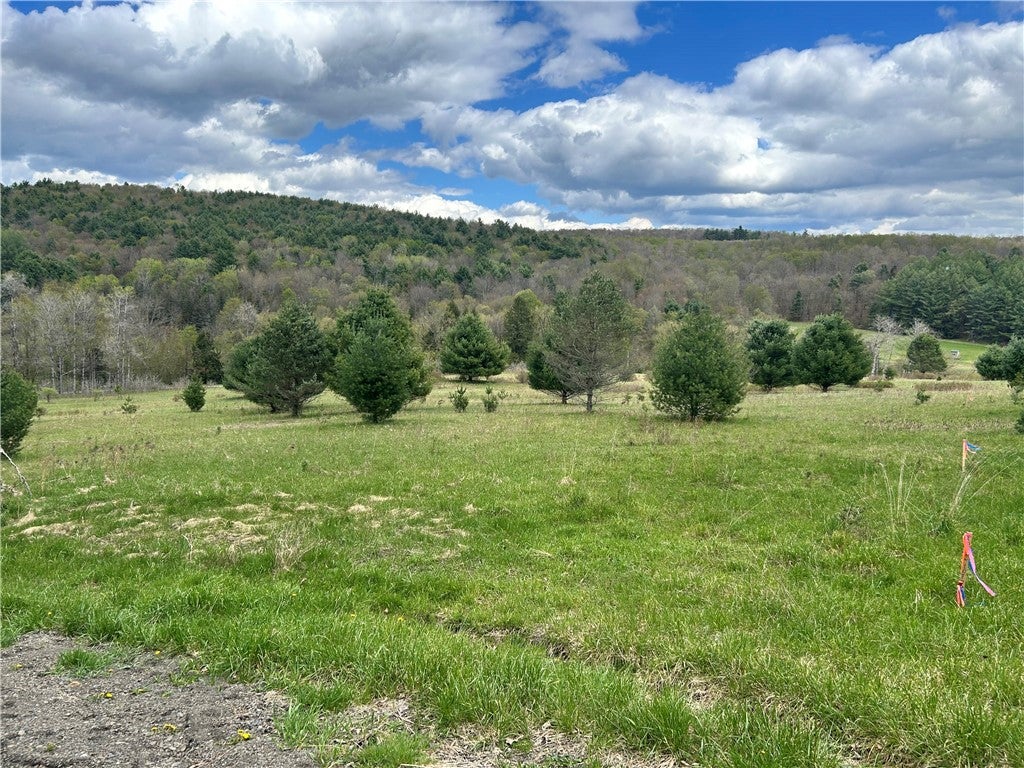 Mary Brown Hill Road