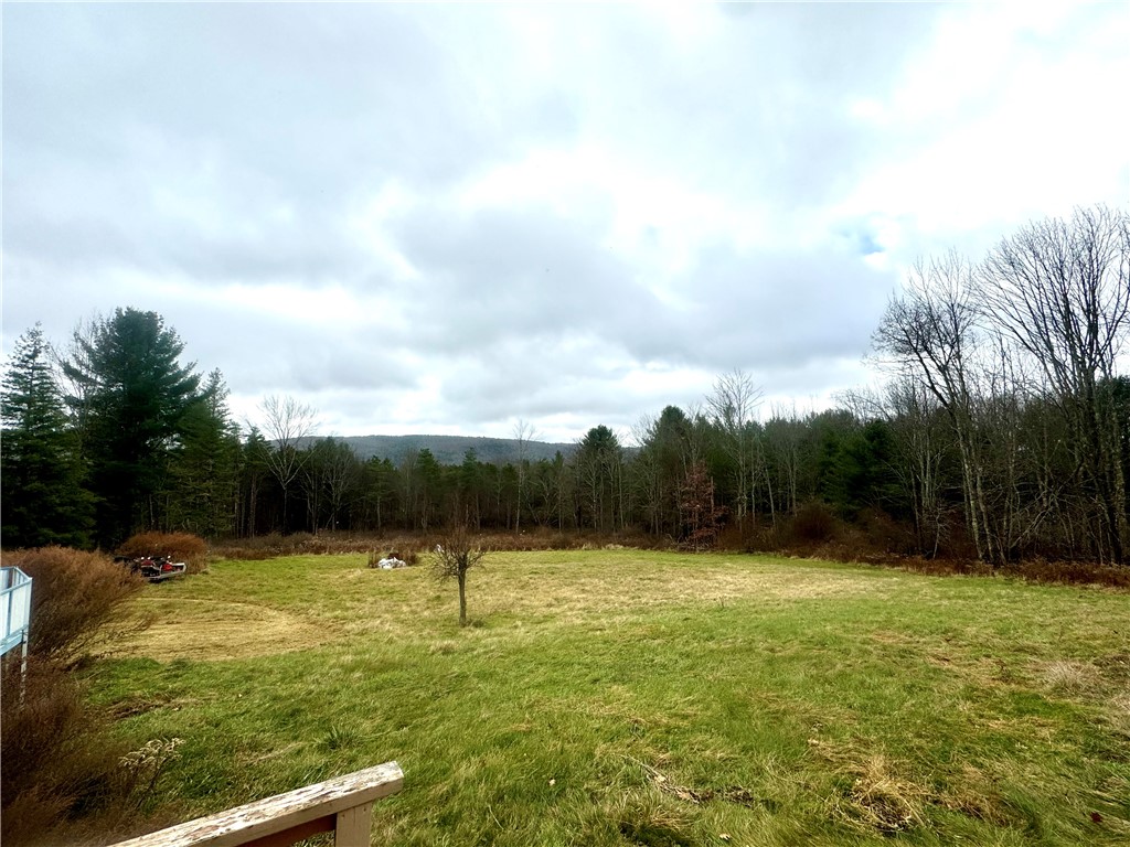 578 Patent Line Road, Sidney, New York image 39