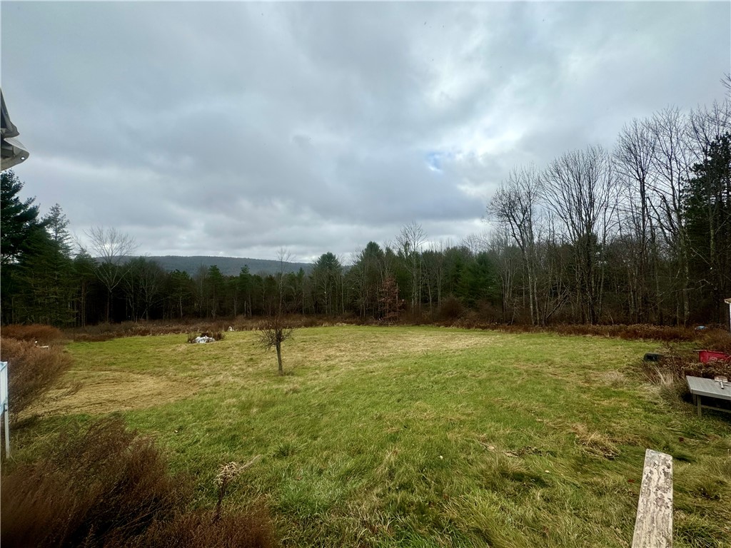 578 Patent Line Road, Sidney, New York image 37