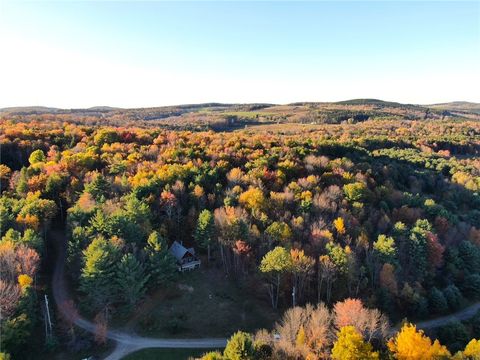 Homes For Sale - 260 Log Cabin Lane<br/> New Berlin, NY 13843