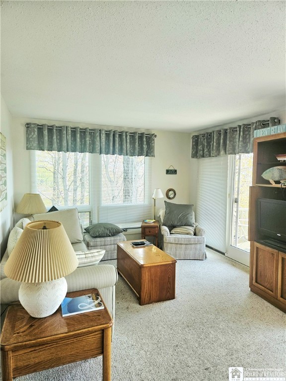 32 Mohawk Drive #B, Chautauqua, New York image 14