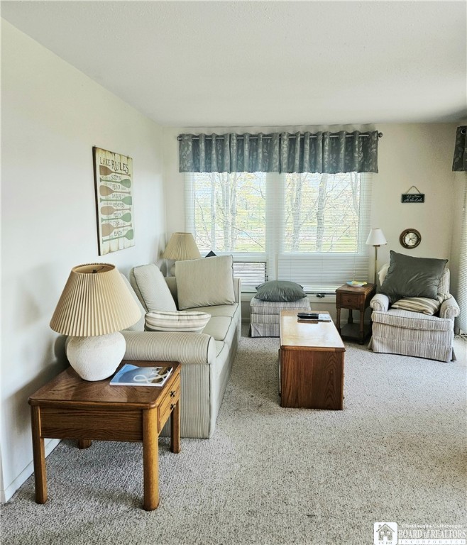 32 Mohawk Drive #B, Chautauqua, New York image 13