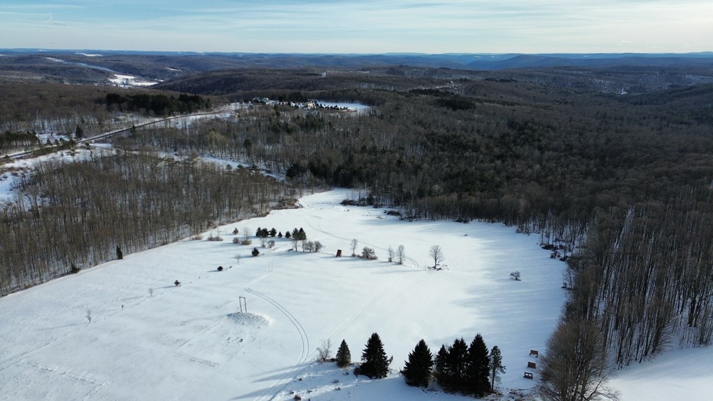 45 Kronus Road, Erin, New York image 23
