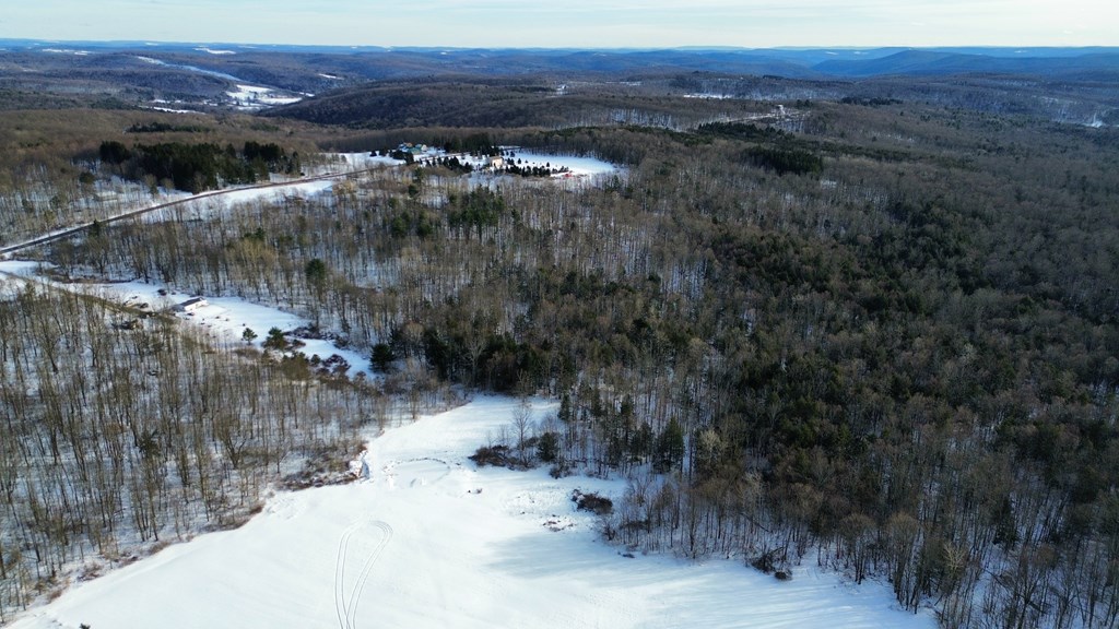 45 Kronus Road, Erin, New York image 18