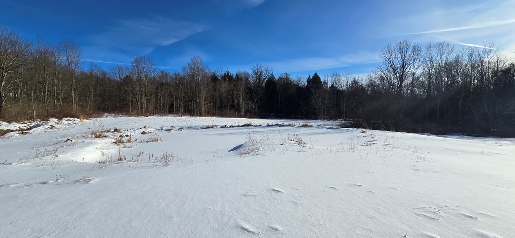 45 Kronus Road, Erin, New York image 7