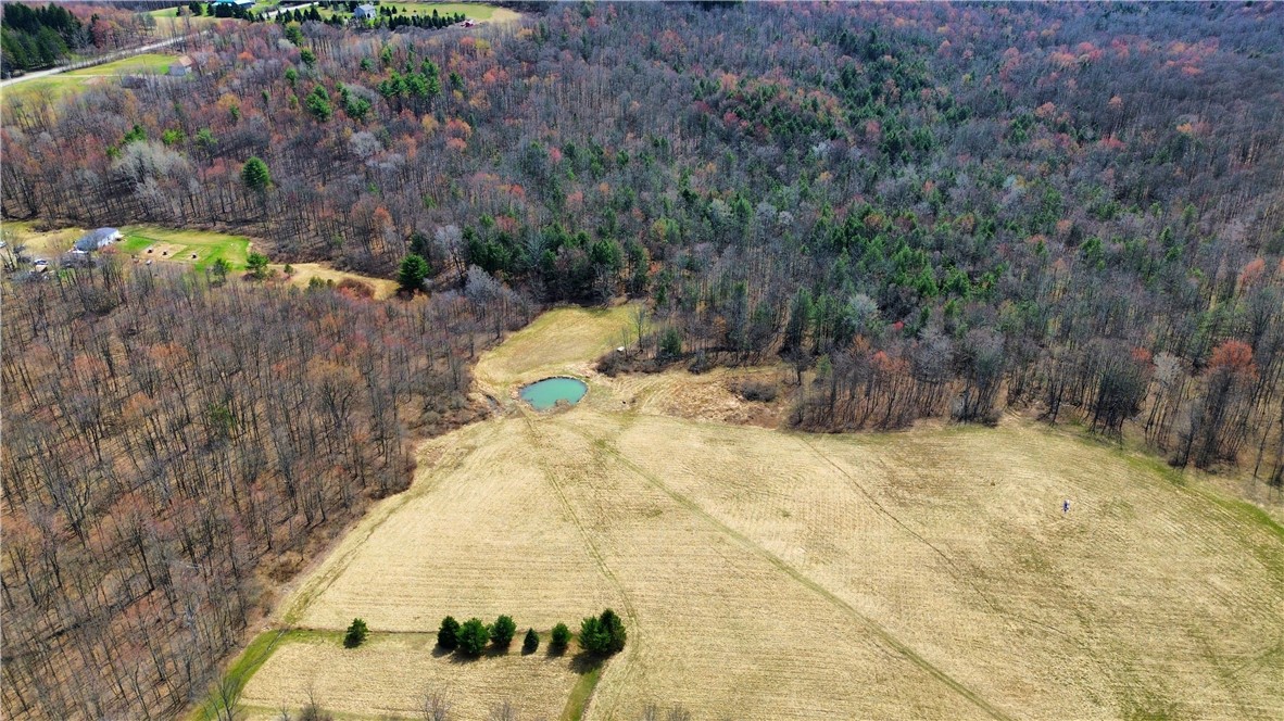 45 Kronus Road, Erin, New York image 5