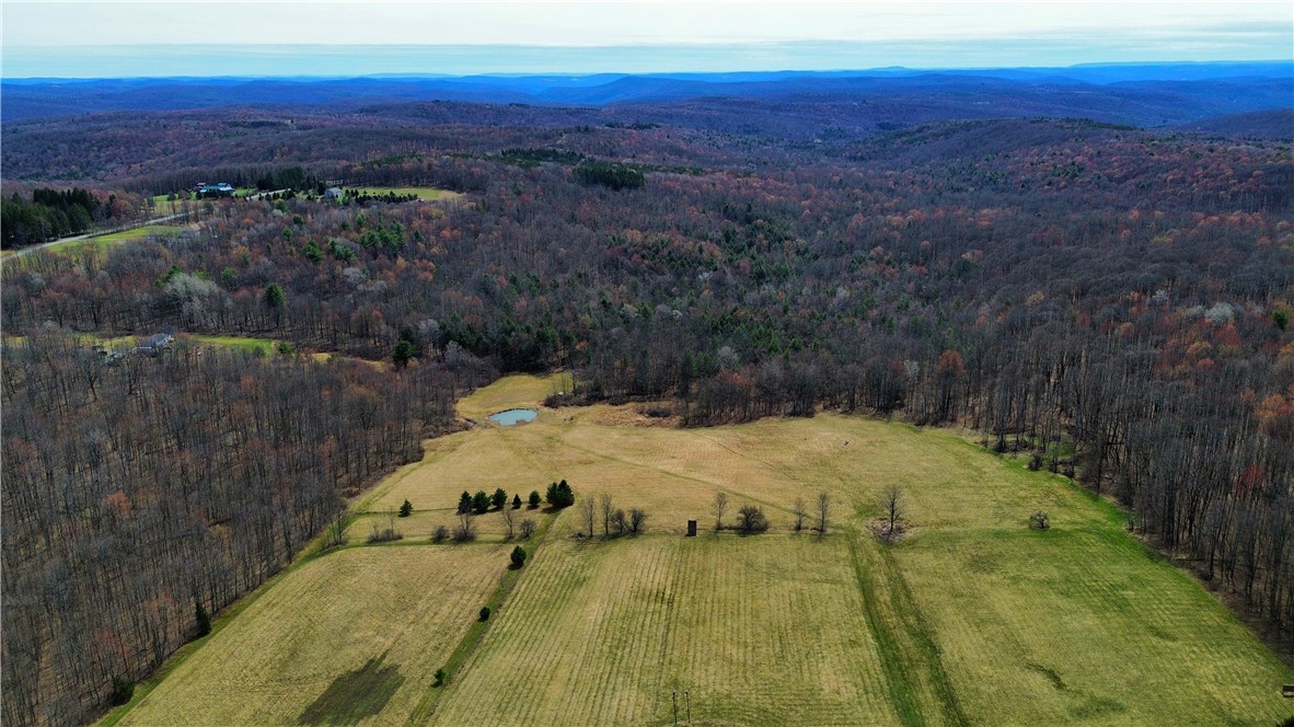 45 Kronus Road, Erin, New York image 3